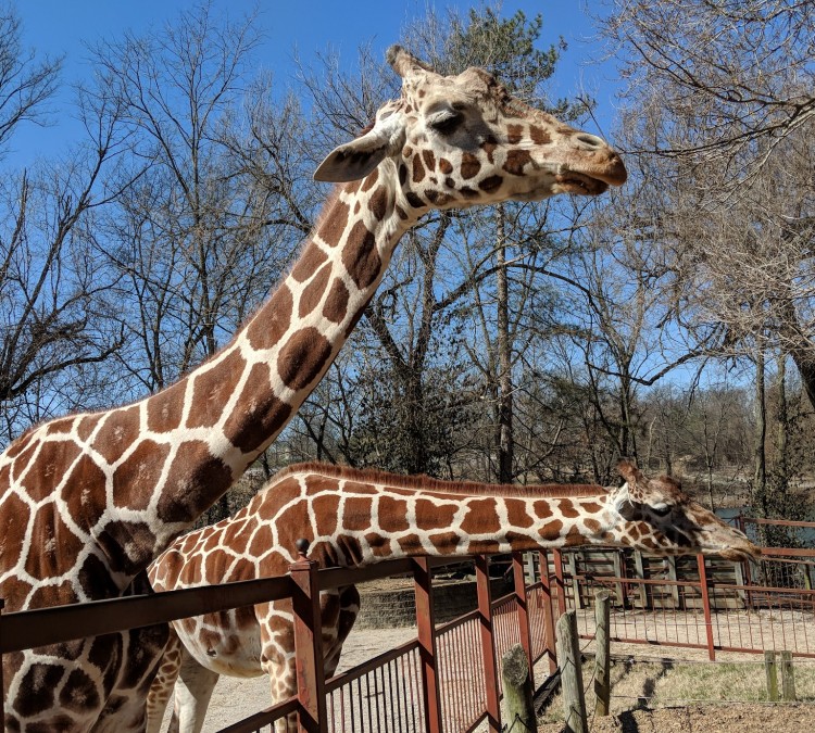 Mesker Park Zoo (Evansville,&nbspIN)
